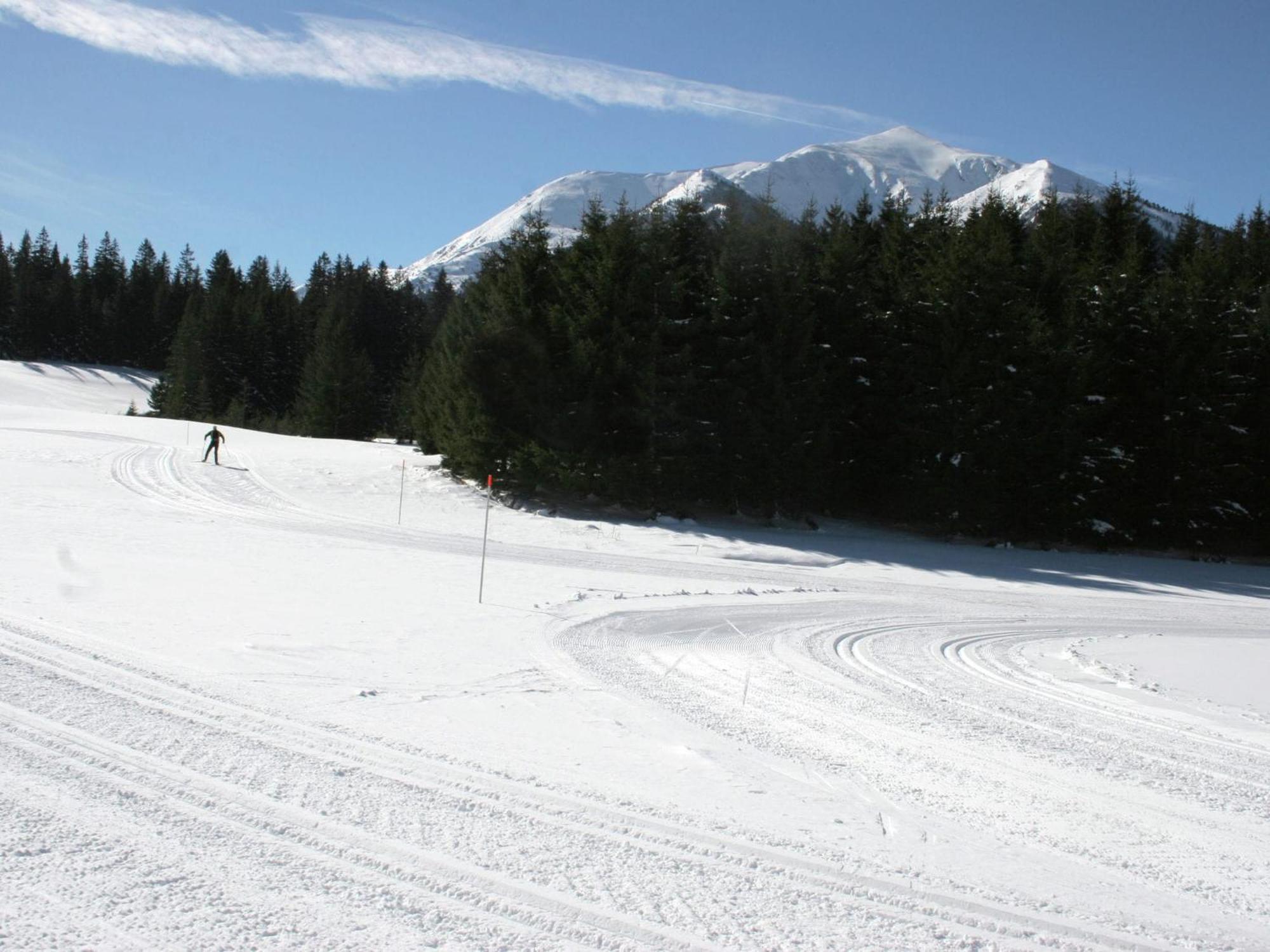 Chalet In Hohentauern Near Ski Area With Sauna Екстер'єр фото